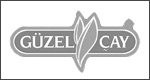 gu 1