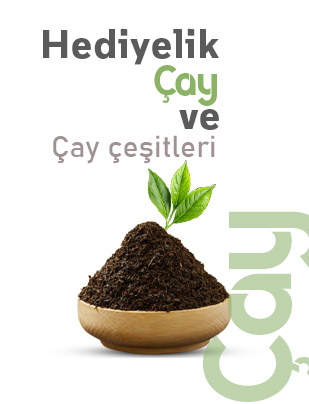 menu basligi